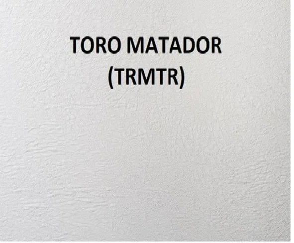 320531 – GREAT LAKES RV Paneling Seam Tape, Toro Matador 50 Foot Length x 1-1/2 Inch Width